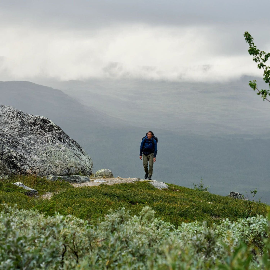 Abisko Hybrid Trail Trousers M Long