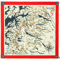 Swedish Map Scarf