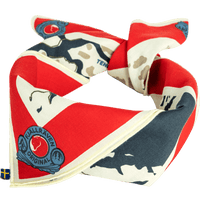 Swedish Map Scarf