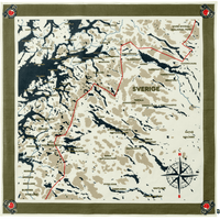 Swedish Map Scarf