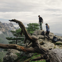 Abisko Lite Fleece Jacket W